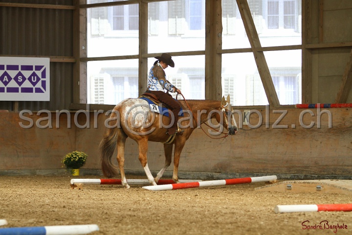 26-ApHC GT_196.jpg